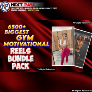 Gym Reels Bundle