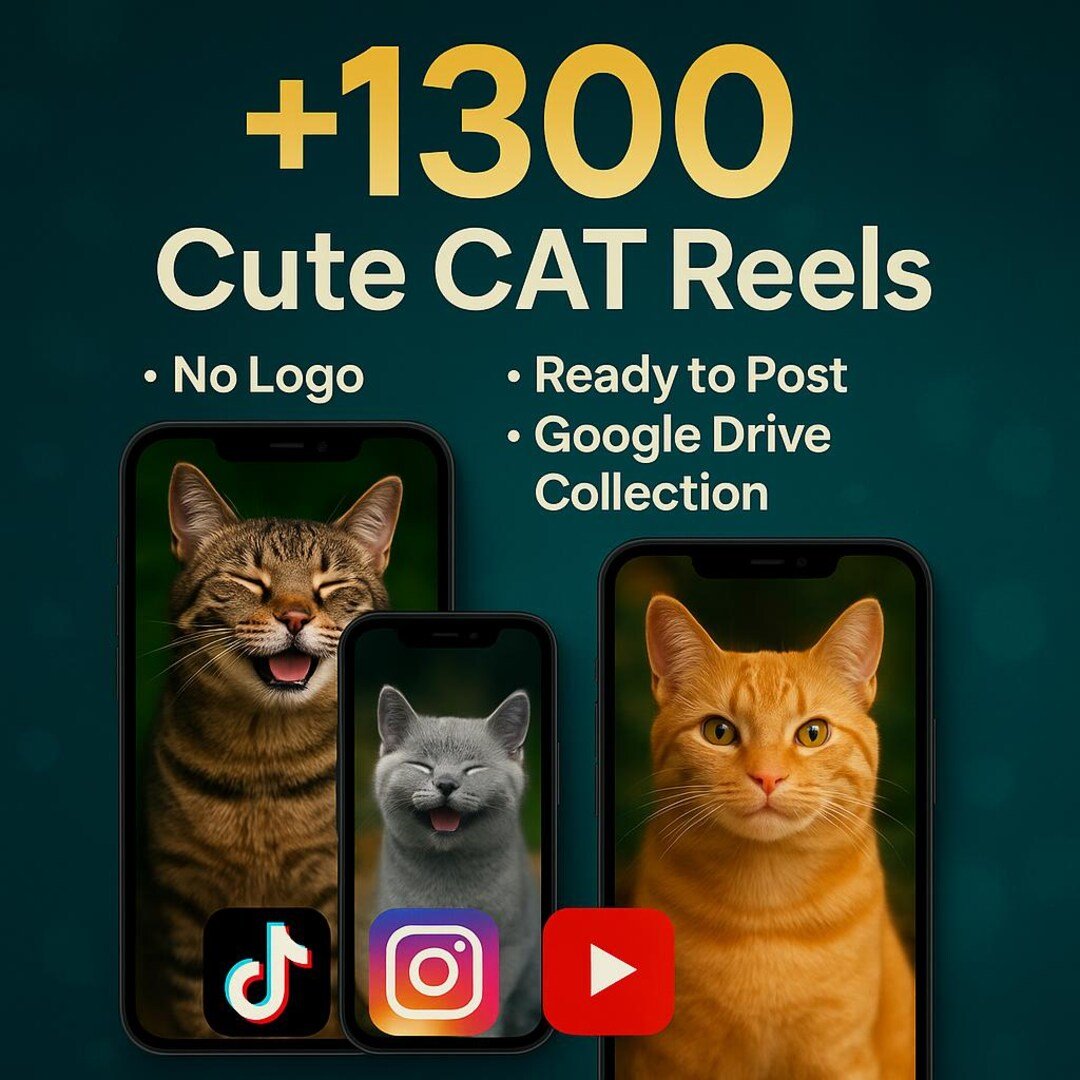 Cute Cats Reels Bundle